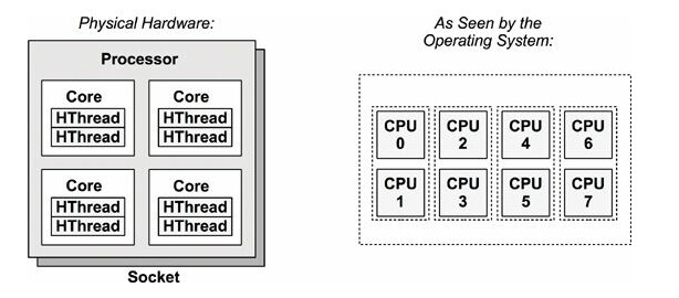 processor